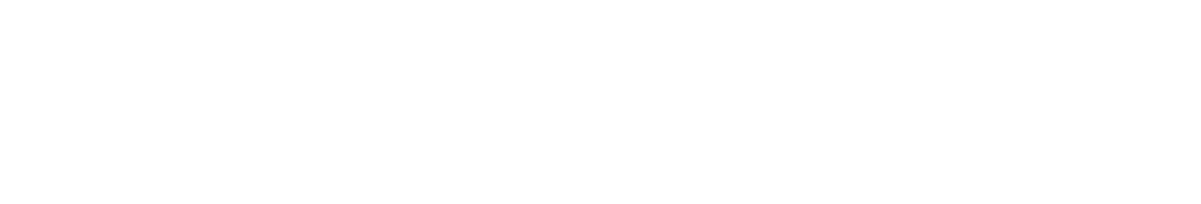 BRU GmbH
